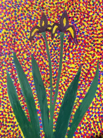 Iris