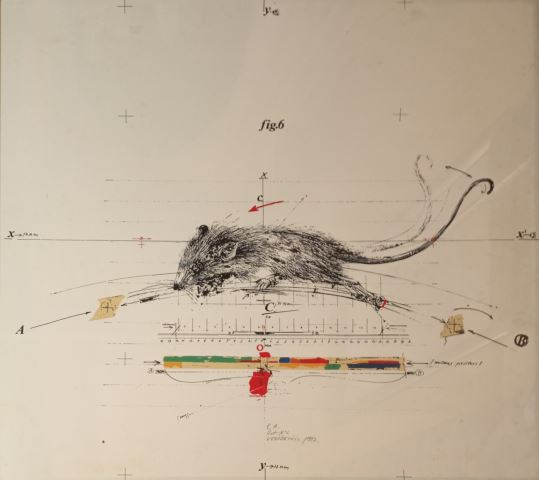 Rat N’6