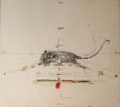 Rat N’6